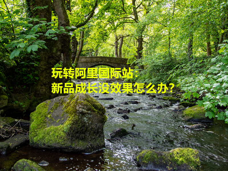 玩轉(zhuǎn)阿里國(guó)際站:新品成長(zhǎng)沒效果怎么辦